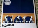 BLOSSOMS Cool Like You RARE LTD EDITION 2019 VZ3201 EXCLUSIVE X2 Vinyl LP SEALED