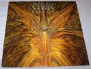 CYNIC:FOCUS LP EX/M