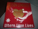 Alison Limerick - Where Love Lives 12