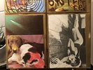 The Sonic Youth - Sister Vinyl Record 1987 SST Records SST 134 W/ Lyric Insert