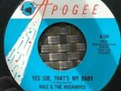 Hale and the Hushabyes 45 - Yes Sir That's My Baby / 900 Quetzals - Apogee Stock