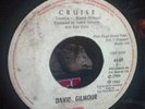 David Gilmour–Blue Light/Cruise EMI–HAR 4648 DIDECA PRESS GUATEMALA HARD TO FIND