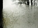 BON IVER - FOR EMMA, FOREVER AGO VINYL