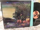LOOKS UNPLAYED - FLEETWOOD MAC TANGO IN THE NIGHT N MINT VINYL LP DMM NICE