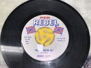 Johnny Rebel Reb No. 508. Rare 45 —-Hatin Me. Who Likes A ———-