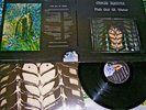 LP Chris Squire Fish out of Water - 1975 UK FOC OIS Poster (Ex Yes) # cleaned