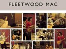 FLEETWOOD MAC 'THE BEST OF PETER GREEN'S FLEETWOOD MAC' Double VINYL LP (2020)