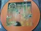 SLAYER Hell Awaits 1985 US ORIGINAL Numbered Picture Disc Metal Blade MXPD 8020