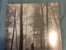 BN In Hand Taylor Swift folklore LP “In The Trees” Deluxe Edition Vinyl