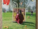 Syd barrett An Introduction To Vinyl Lp 2  X12 Pink Floyd David Gilmorton RSD