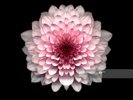 george michael  spinning the wheel 12'' w/l promo (forthright mixes) RARE mint