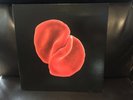 Peter Gabriel, Scratch My Back LP