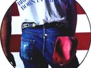 EX/EX BRUCE SPRINGSTEEN BORN IN THE USA VINYL LP PICTURE DISC