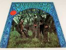Creedence Clearwater Revival   Self-Titled   Fantasy, 8382, LP, US, 1969, VG+
