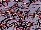 Deftones - Gore - LP Vinyl - New