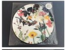 SCRITTI POLITTI ABSOLUTE 1984 UK PRESS 12