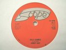 Janet Kay - Silly Games, UK Scope, EX-  Classic Lovers Rock Reggae '79