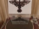 The Crow OST ?LIMITED EDITION ETCHED VINYL LP + HYPE STICKER? *BRAND NEW SEALED*
