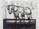 The Wonder Years - Sister Cities SIGNED /2200 Grey/Black Smash Vinyl