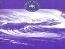 Midnight Oil ?– Scream In Blue - Live- LP