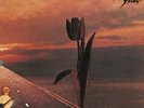 Pretty Things - Parachute 50TH Anniversary double LP LIMITED