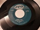 1957 ROCKABILLY 45 RAY STANLEY EDDIE COCHRAN on REO CANADA ''MARKET PLACE''