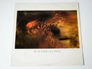 COCTEAU TWINS - VICTORIALAND | VINYL, LP, 45 RPM, ALBUM