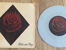 AFI - Girl's Not Grey 7
