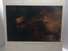 Cocteau Twins - Victorialand LP 4AD UK 1986 EX/EX OG Inner NICE