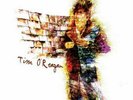 Tim O'Reagan            180 Gram  Lost Highway Records  (NEW VINYL)