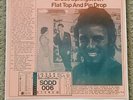 Bruce Springsteen Flat Top And Pin Drop vinyl record album Near Mint condition