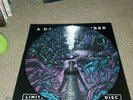 A Day To Remember Homesick Picture Disc Vinyl