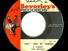 The Maytals 