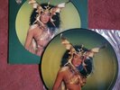 CHER - Take Me Home - PICTURE DISC Vinyl LP in Die-Cut Sleeve