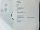 THE BLACK CROWES - A TEXAN TORNADO - 2xLP - TEST PRESSING VINYL - 1 of 5  *RARE