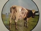 Pink Floyd 'Atom Heart Mother'  Rare  Vinyl Record Picture Disc