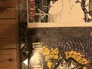 oi punk skinhead vinyl