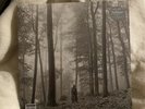 Taylor Swift  folklore LP “In The Trees” Limited Deluxe Edition Vinyl NEW SEALED