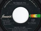 Soaring Northern Soul Crossover JACKIE WILSON Because of You 45 Brunswick HEAR