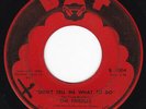 NJ Garage Jangle FRIEDLES Don't Tell Me What to Do / She Can Go 45 Bat HEAR