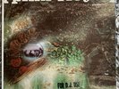 Pink Floyd Saucerful Of Secrets PROMO Original 1st US Pressing Tower Vinyl Lp