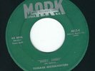 Doo Wop - Teenage Moonlighters MARK 134 Sorry sorry / I want to cry ?