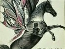 Argus Pegasus ‎– The One And Only RARE Vinyl LP 1986 Privatpressung NM +Postcard