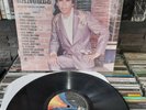 CHALINO SANCHEZ acompañado con Los Amables del Norte adios chalino LP VG MUSART