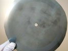 THE WHO RUN RUN RUN X-Ray USSR Record Roentgen Bones Ribs Music Vinyl