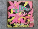 The GOLDEN DAWN  Power Plant - original psych lp