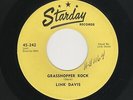 STARDAY TwinSpin Txs Rockabilly LINK DAVIS Grasshopper Rock/Sixteen Chicks HEAR