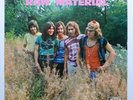 LP Raw Material - Raw Material   Deutsche VOGUE LDVS 17236    M - / VG++  1971