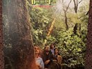 DOUGLAS FIR-HARD HEART SINGIN’-Psych LP Quad Records Original EX