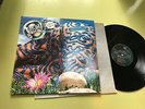 JELLYFISH Bellybutton LP '90 original us vinyl PROMO jason falkner RARE charisma